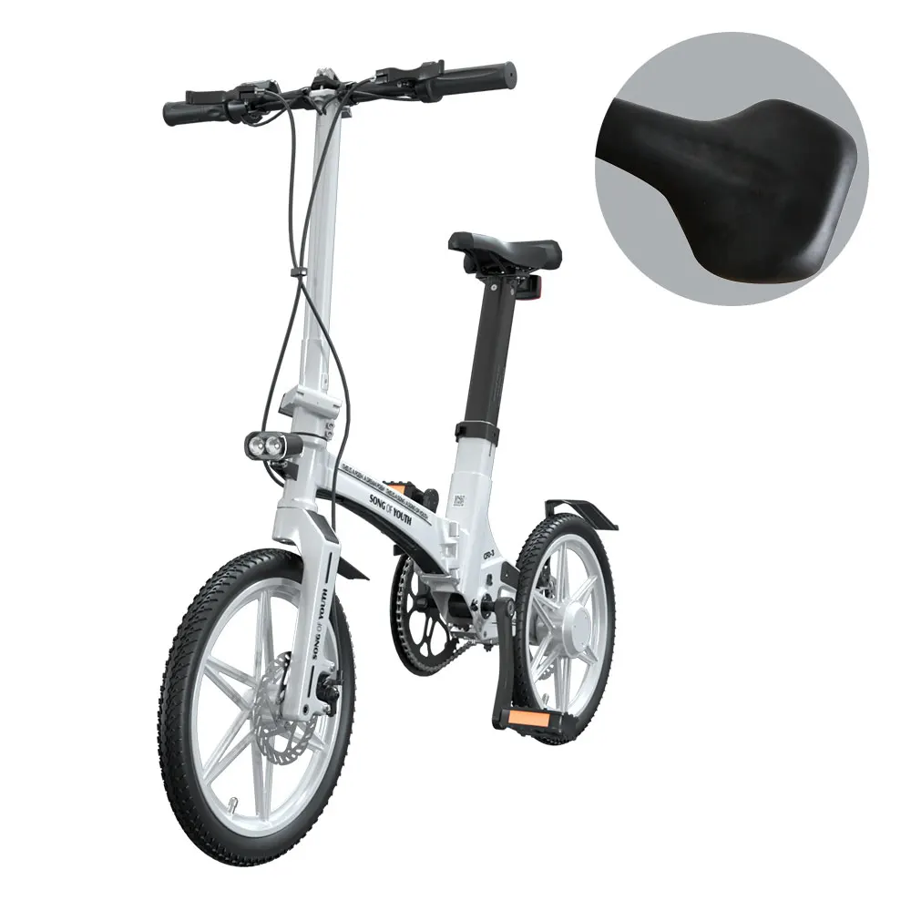 16-дюймовый электрический мопед велосипеда Прямая поставка 250 Вт Мотор литиевая батарея на открытом воздухе леди городской Электрический дорожный велосипед