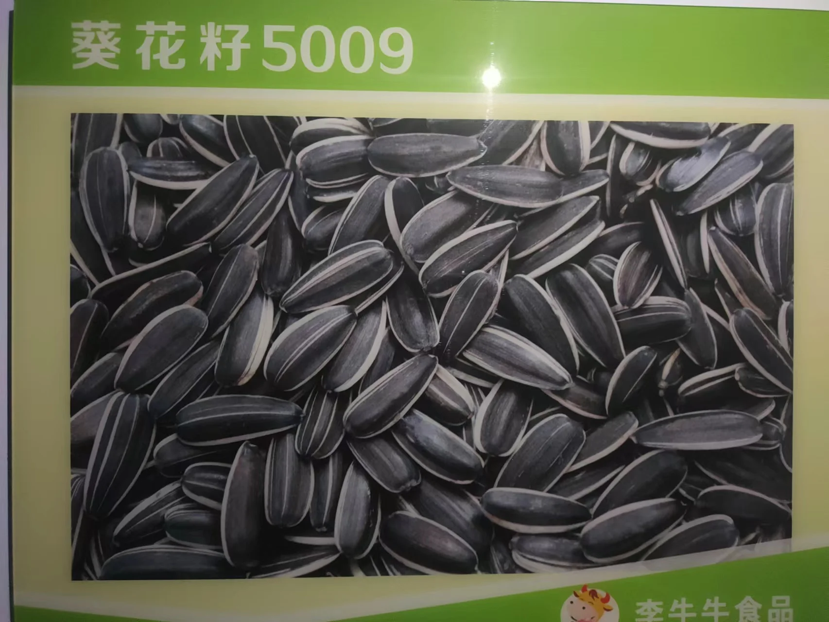 Sunflower Seeds 361