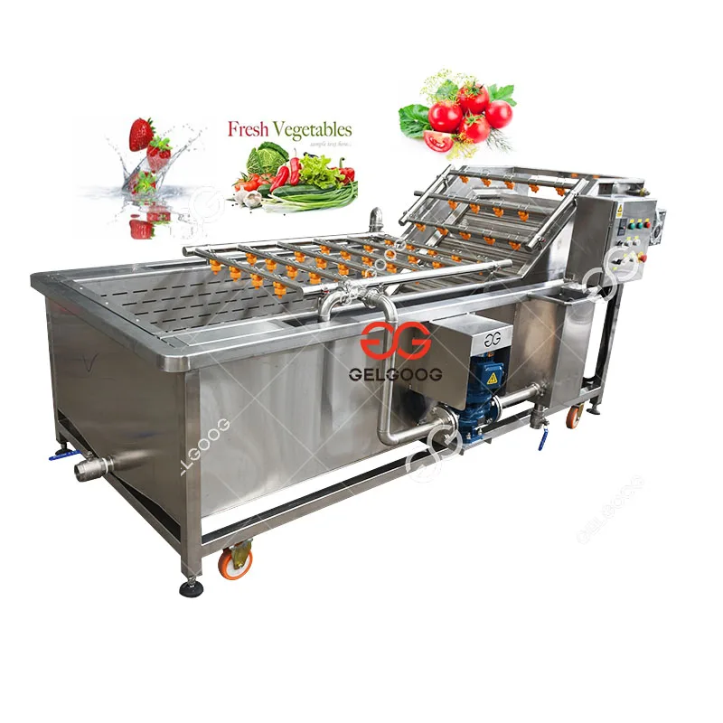  Gelgoog 500Kg/H Vegetable Washer Citrus Orange Sea Buckthorn Date Palm Spray Conveyor Milk fruit Washing