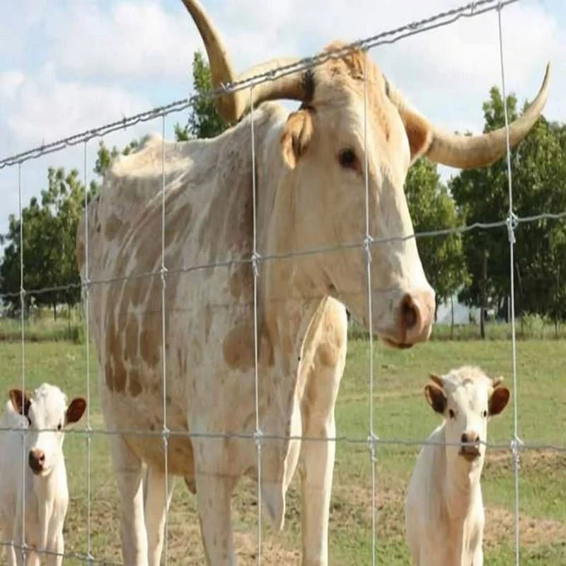 Factory Wholesale galvanized grassland fence 2.2mm 2.5mm 2.7mm wire cattle/sheep/farm/field/deer wire mesh fencing netting