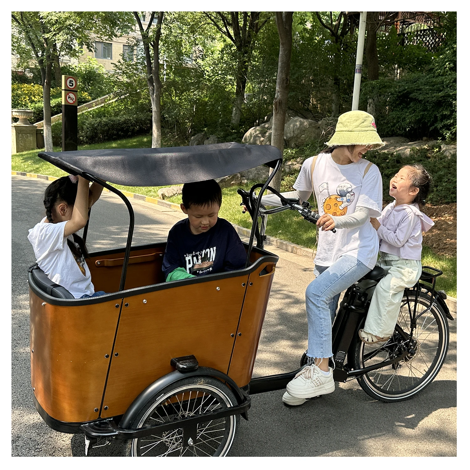 holland family box bike cargobike 3 wheel electric cargo bike for sale