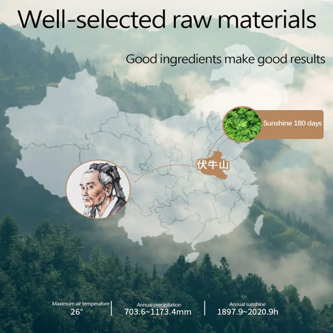 Factory Cheap Wholesale Natural Herbs Moxa Roll Acupuncture Moxibustion Pure Moxa Stick