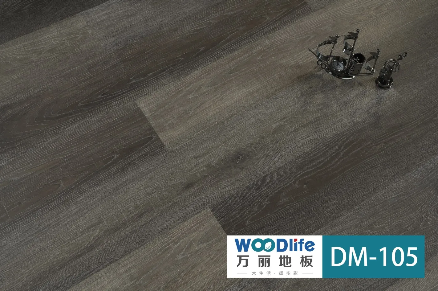 dm105.JPG