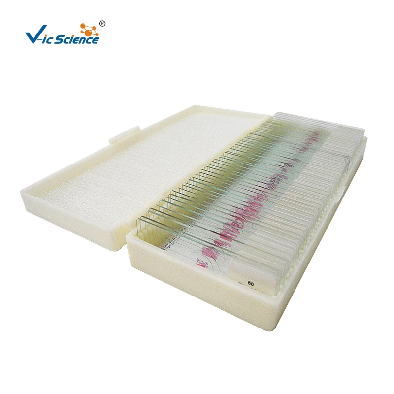 Microscope Pathology Slides Medical 50 Kinds Medical Educational Biology Teaching Slide Human Pathology Professional Slide