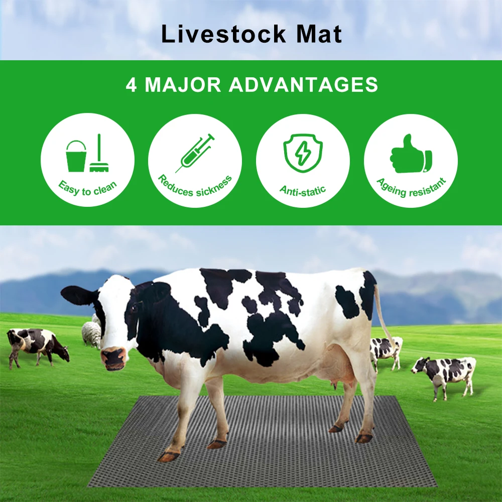 Custom 24mm 34mm Eva foam Comfort Puzzled Interlocking cow mat