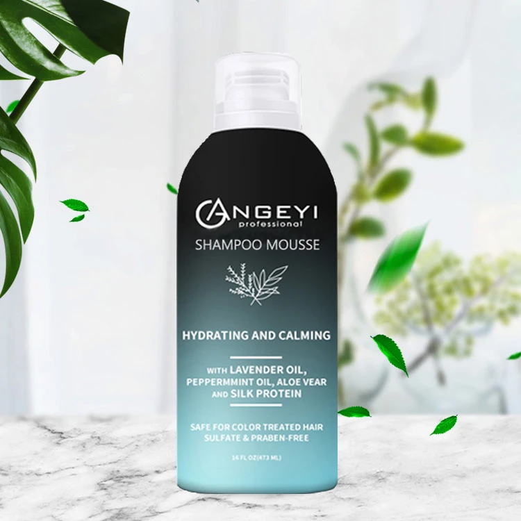 Protein Hydrating Anti-dandruff Nourish Hair Shampoo Champu Lavender Peppermint Aloe Vera Silk Unisex Adults 10 Years Daily Life