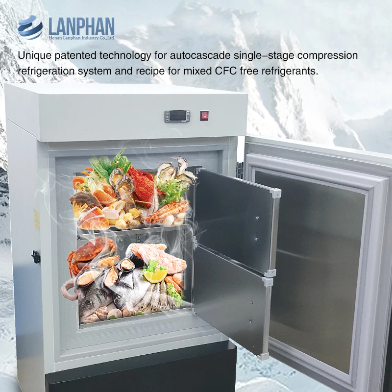 DW Series Ultra Low Cryogenic Freezer For Laboratory