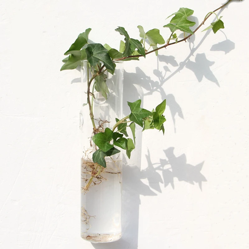 Wall Planter Propagation Stations Hanging Glass Terrariums Vase Container for Propagating Hydroponic Plants Flowers Home Office