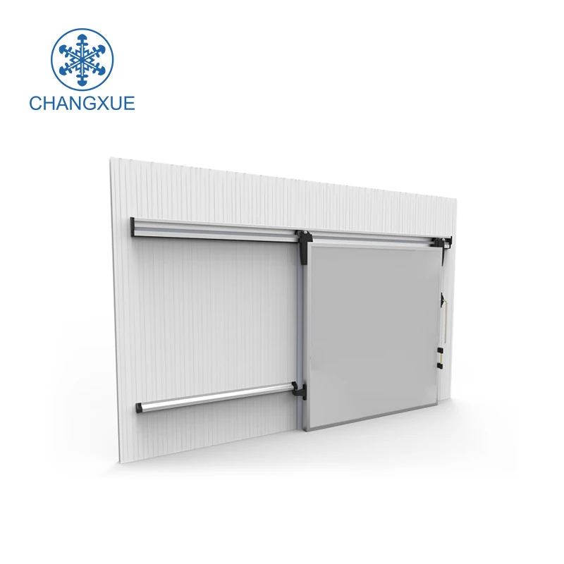 Sing-open manual sliding door cold room door for cold storage