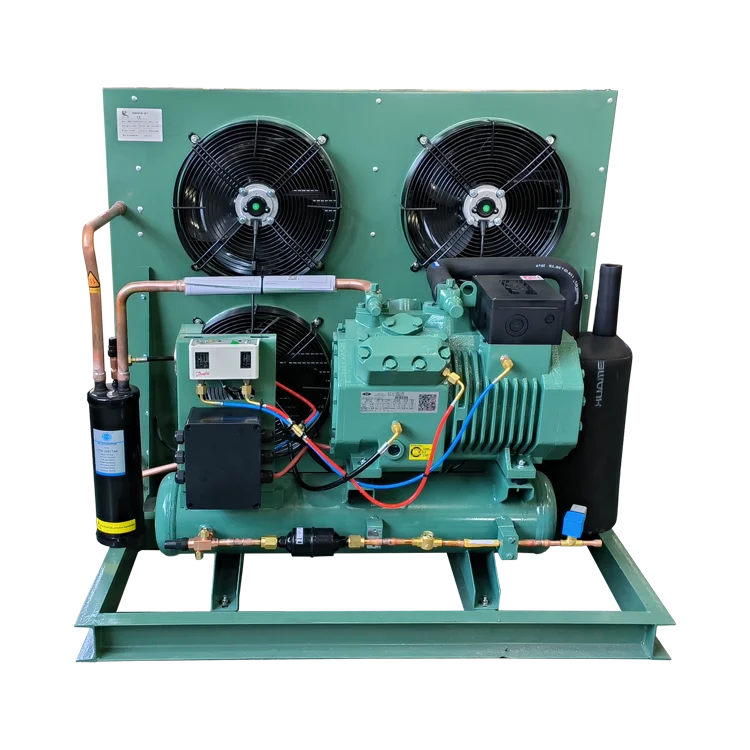 Rui Xue Easily Installable Condensing Unit with Bitzer  Components