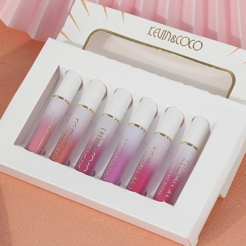 Luxury Matte Long Lasting Rich Pigment Vegan Organic Your Own logo Lip Plumper Tube Lipgloss Set Private Label