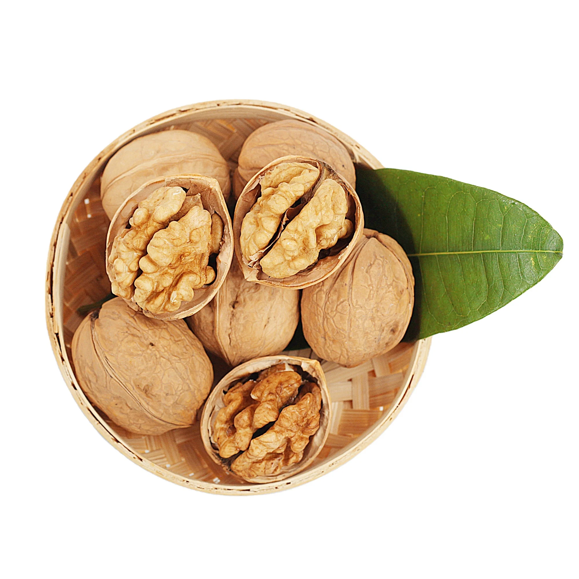 Wholesale Rich in Nutrition Walnut and Price Cheap Walnut in Shell from Xinjiang