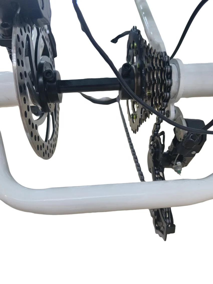 Best Selling 3-Wheel Family Electric Cargo Bike 350W Motor Powered with 48V Lithium Battery  Carrier Position