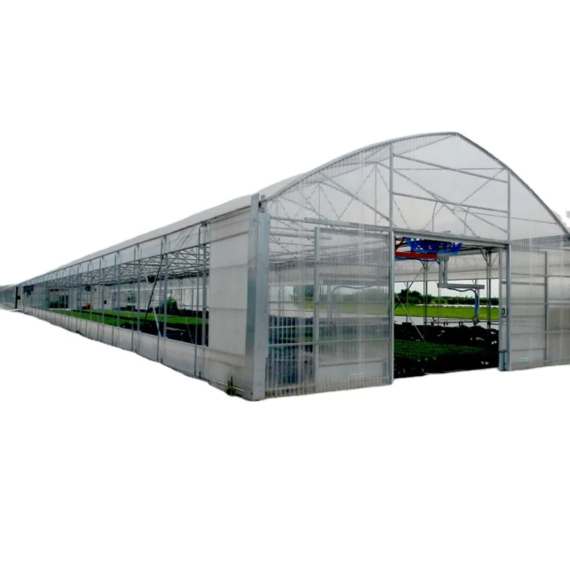 FM hot anti insect screen greenhouse agricultural protect greenhouse agriculture greenhouses
