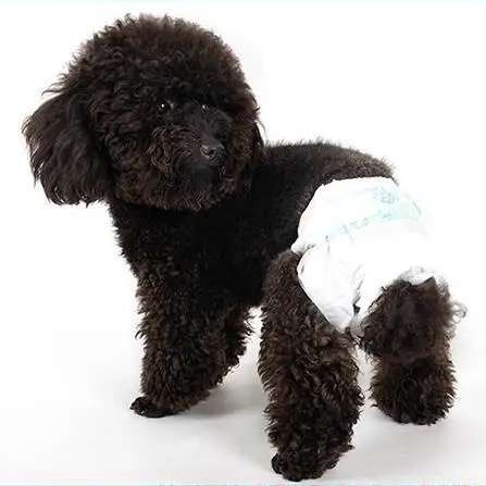 wholesale free sample cheap japanese korean pet dog diapers nappies