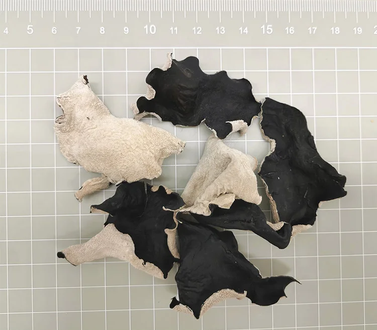 White black fungus Slice Ear Mushroom Edible Fungus Funghi Wood Ear 3-5cm Dried Black Fungus