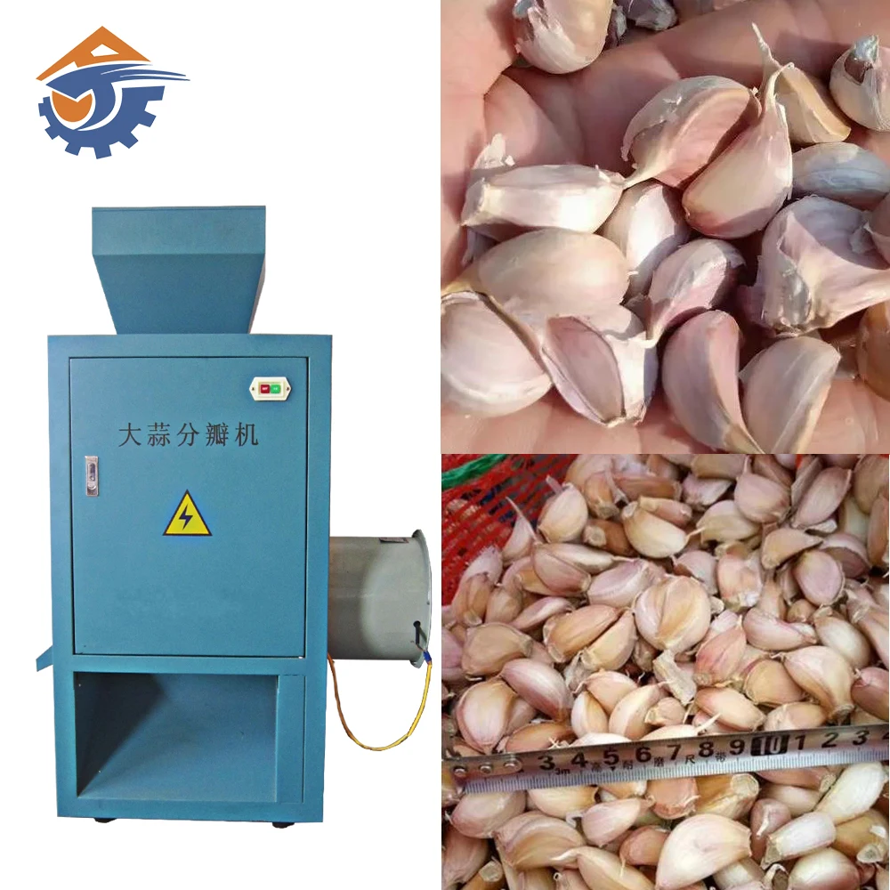 Price of garlic separating peeling machine garlic separator machine clove splitter equipment garlic separating machine