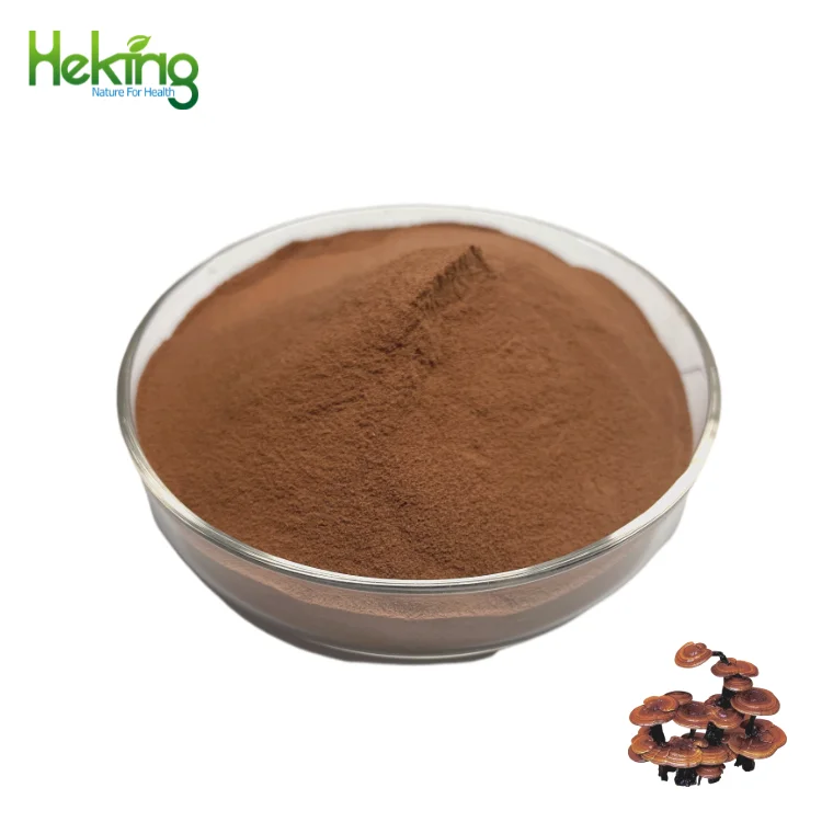 Hot Sale Shitake Maitake 50% polysaccharides Reishi Mushroom Extract