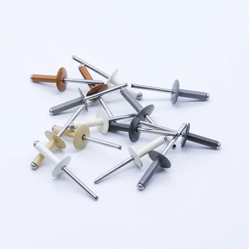 Various Coloured Aluminum blind rivet with A2  Stainless Steel mandrel rivet painted rivet