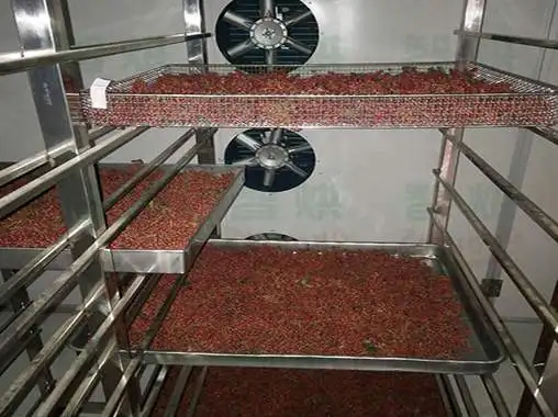 Medical Materials Dehydrator Machine Large Fruit Dryer Oven Tunnel Tray Drier Drying Oven Low Fuel Consumption Rotary Dryer 22kw