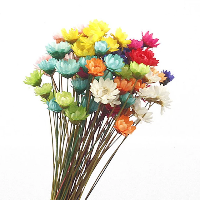 Wholesale 1 Bunch Mini Natural Dry Flowers Daisy Chamomile Bouquet Brazilian Small Star Daisy Decorative Dried Flowers
