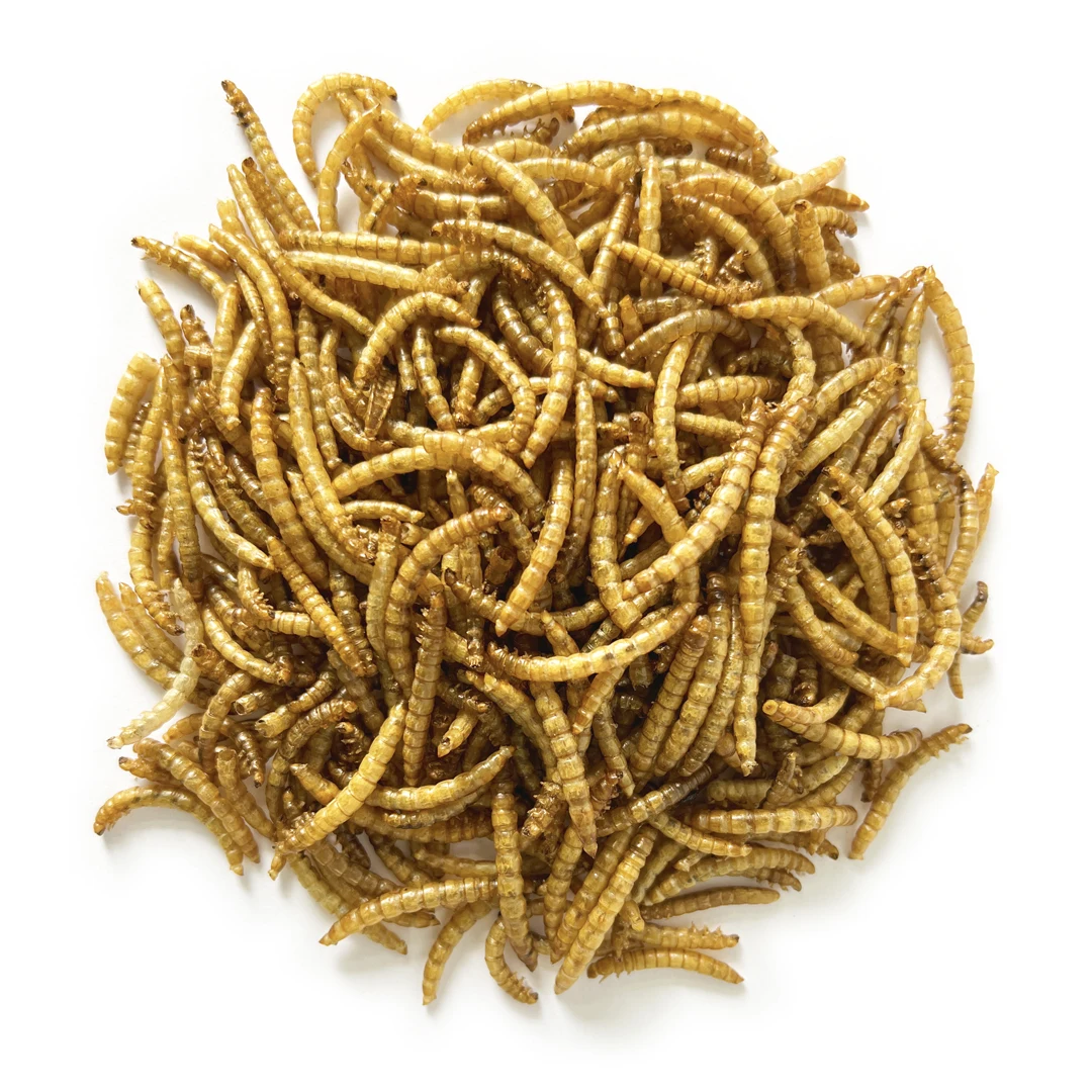 Dried Mealworm Pet Ornamental Goldfish Freeze Dried Pet Food Fish Koi King Betta General Fish Feeds Fish Food