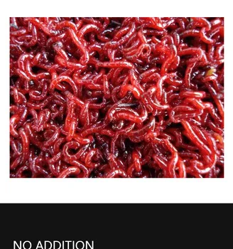 high quality frozen bloodworm Frozen red worm red nematode worm for sale frozen fish food