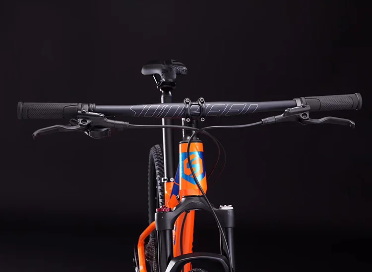 Promotion 17 19 29inch mountain bike 29er mtb bike with MT-200 Hydraulic 160mm