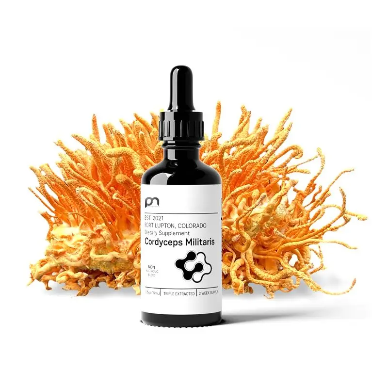 Cordyceps Militaris Грибная и сибирская настойка женьшеня натуральная энергетическая повышающая выносливость экстракт полного спектра OEM/ODM