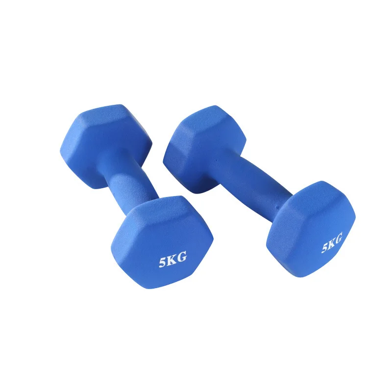 China Manufacturer Family Fitness Equipment Dip Plastic Dumbbell For Yoga Practice