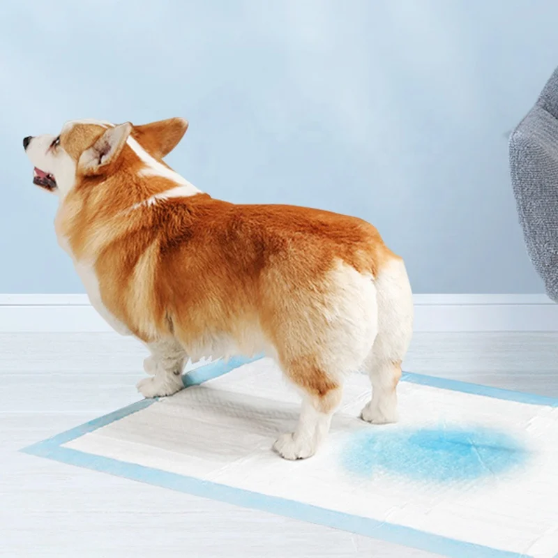 Super absorbent pet diaper dog training pee pads puppy pee pads for dogs