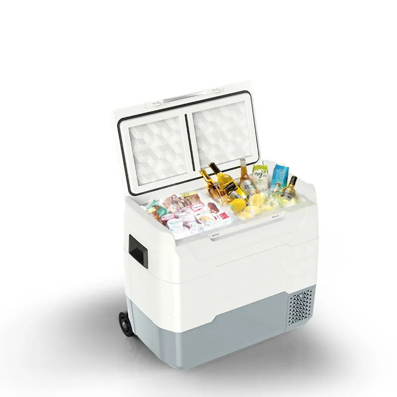 Small Outdoor Freezer Compressor Refrigeration Car Home Dual-Purpose Freezing  Refrigeration 12V24V Car Refrigerator