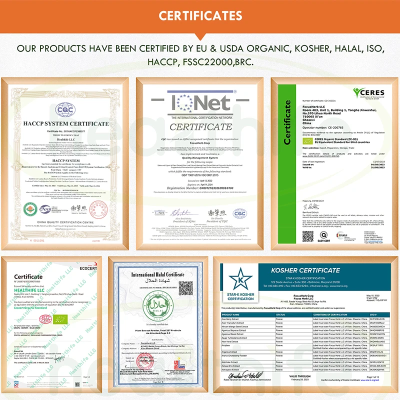 Healthife OEM Clinoptilolite цеолитный порошок 500 мг/60 капсул/бутыль цеолитных капсул