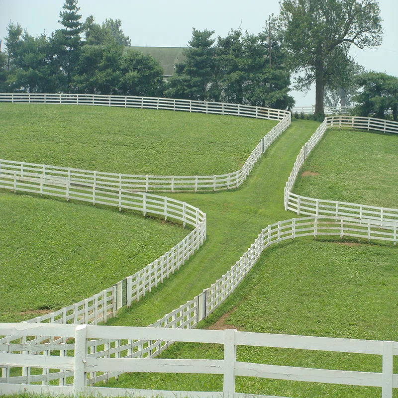 galvanized steel board horse fence powder coated cattle fence pe horse fence in good price