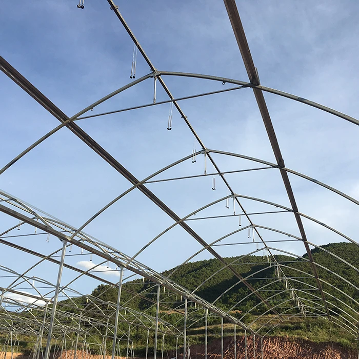 greenhouse15