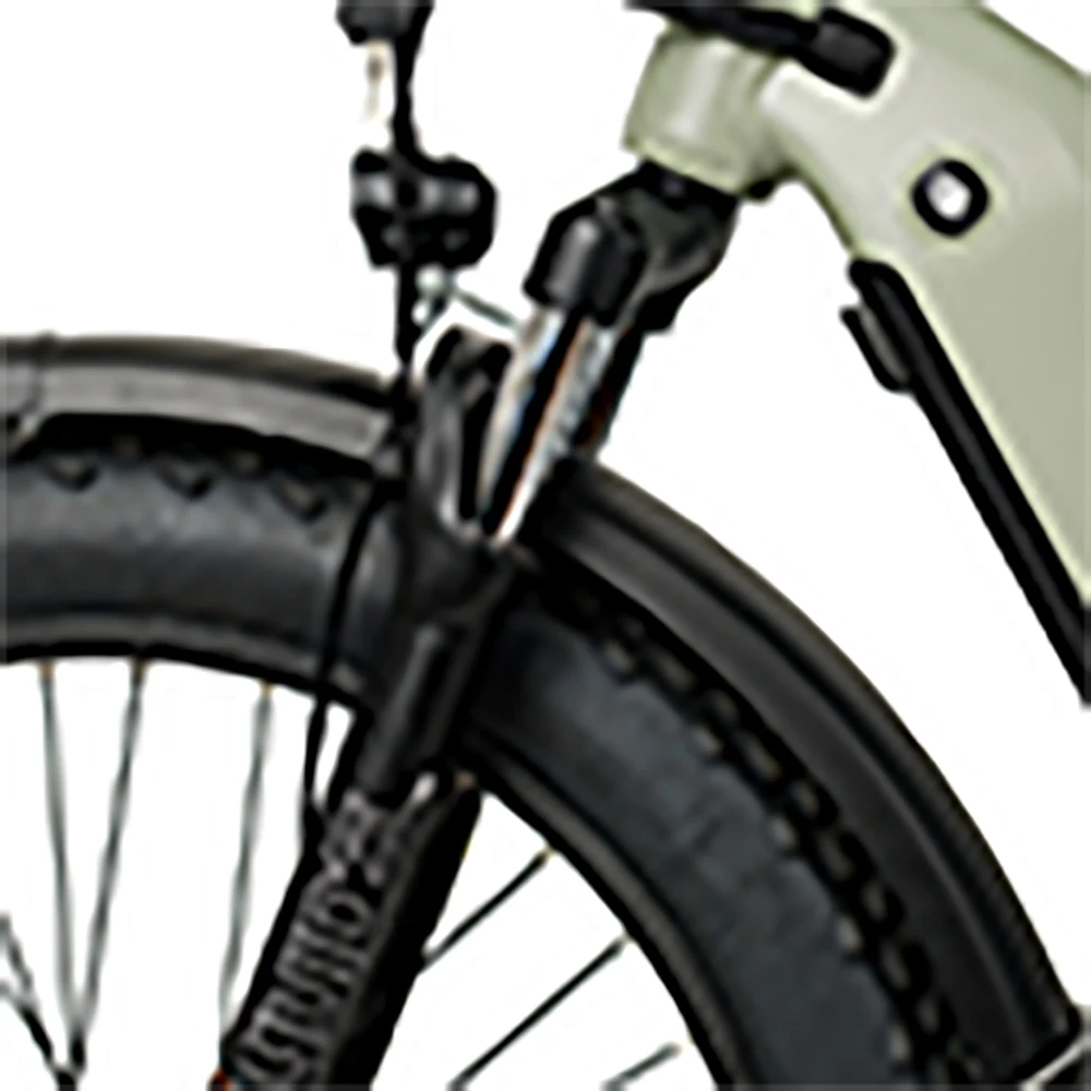 Aimos high quality Long Tail Electric Cargo Bike 36v 250w Double Lithium Battery Delivery Electric Bike