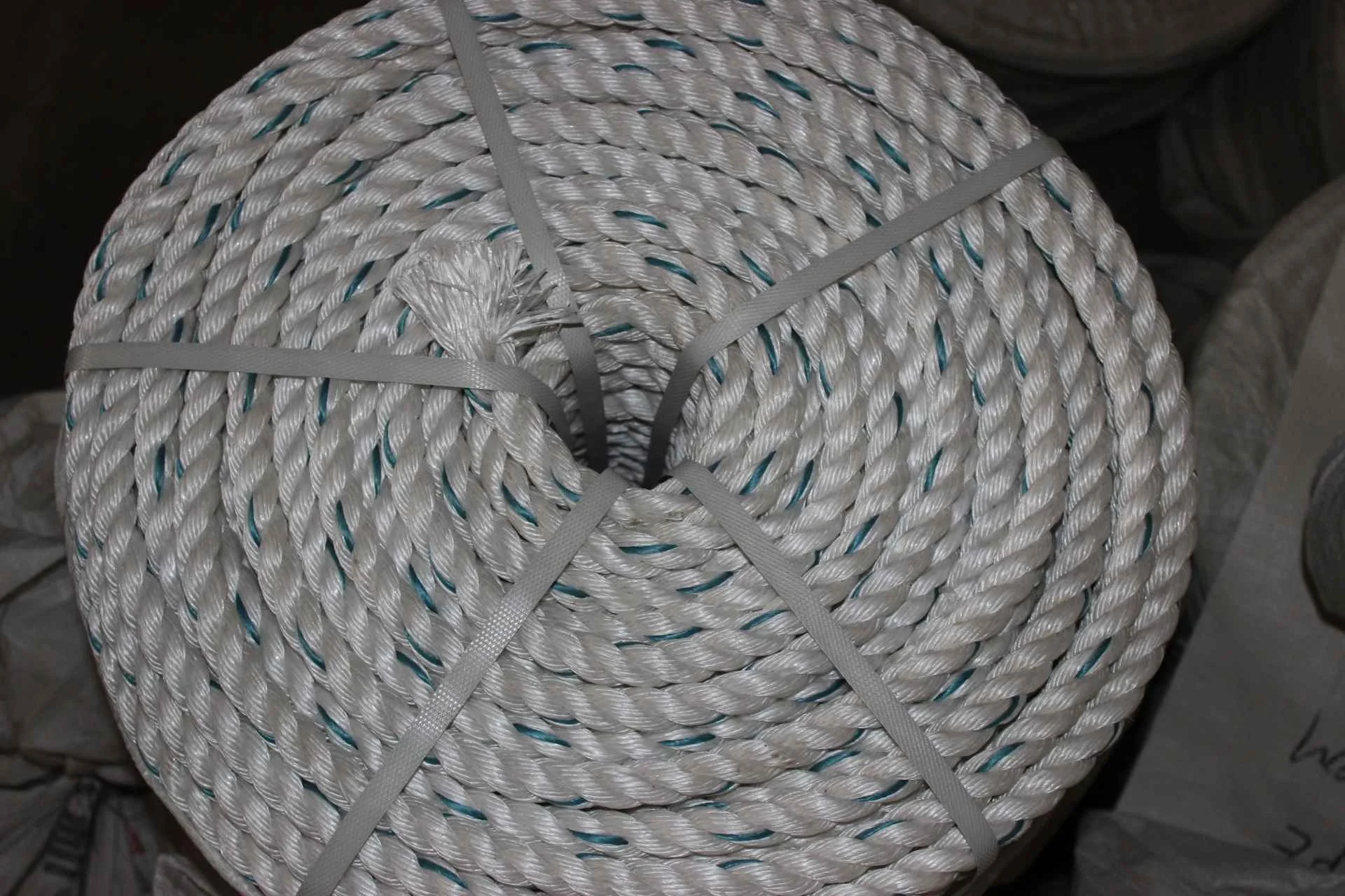 Hot sale high strength 100% new material pp danline rope/nylon rope for ocean fishing net usage