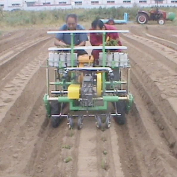 automatic 2ZBLZ-4 crawler 4 rows vegetable seedling transplanter bacco planting machine potato electric seedling transplanter