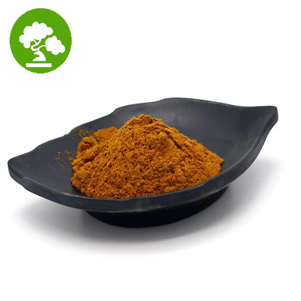 Wholesale Price Burdock Root Extract Powder 10:1 Burdock Root Powder