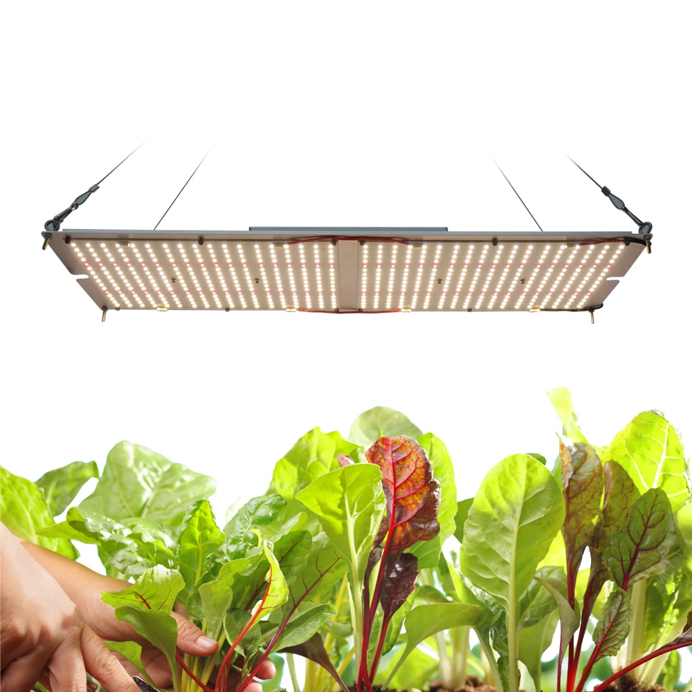 Maaadro Wholesale Cheap Professional Lm301h Lm301b 5088 Grow Light Samsung For