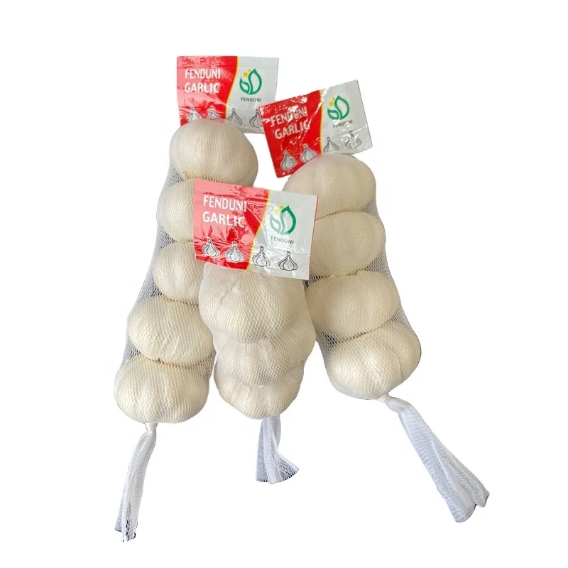 wholesale garlic buyers 10kg/bag in 1x20FCL 5.0CM/5.5CM Export Mozambique/Somalia/Libya/Liberia Cheap Market Price/New Crop/Ajo