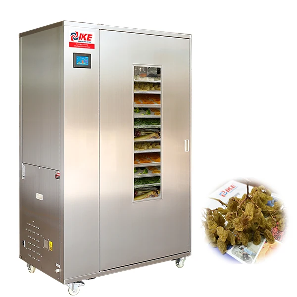 IKE hot air commercial food oven dryer for ginger vegetables and fruits