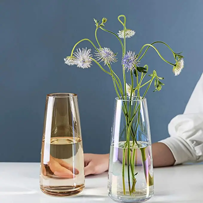 Modern hand-made glass transparent hydroponic plant container magic clear glass cone flower vase for wedding decor