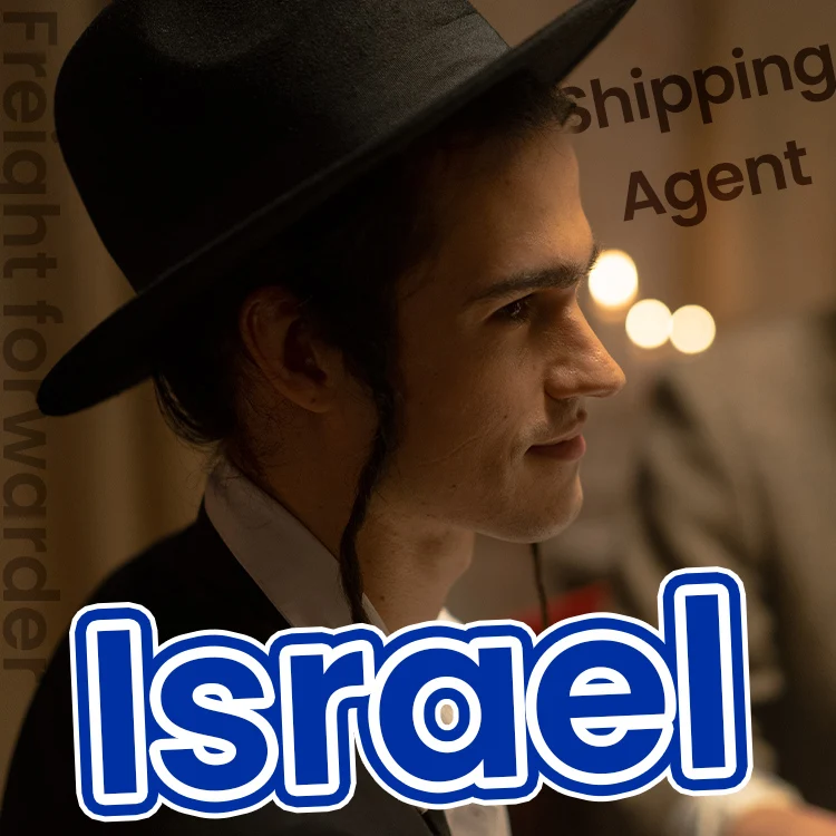 professional freight forwarder shipping from china to Israel by sea air and express with DDP