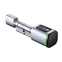 Eseye HOT Sale Audio Tuya Zinc Alloy Shipping Container Secureye Password Key TTlock Handle Fingerprint Lock Keyless Door Lock