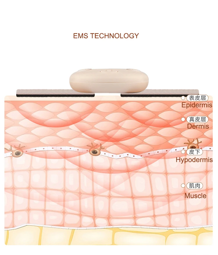 charging case EMS (8)