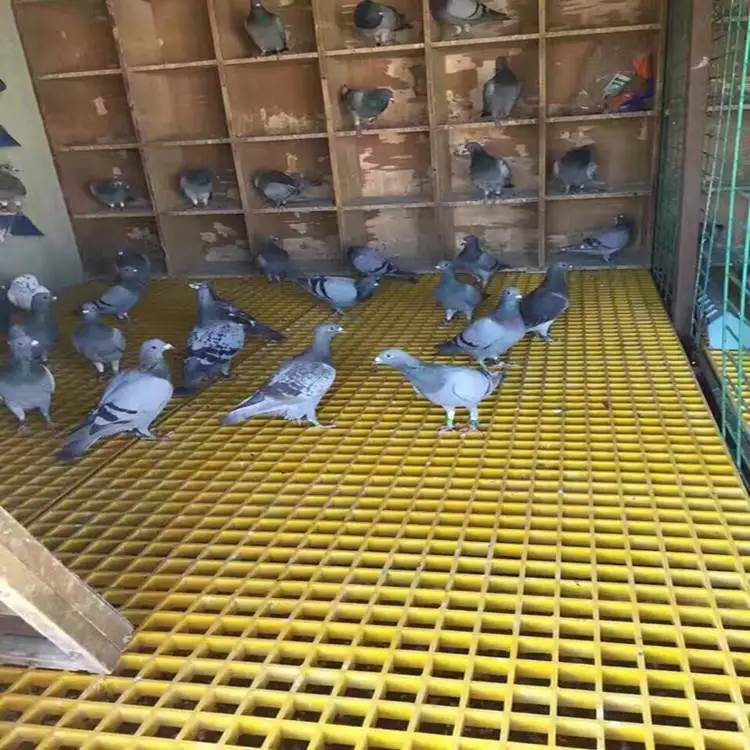 50mm*50mm mesh size plastic grating fiberglass floor grating for pigeon lofts