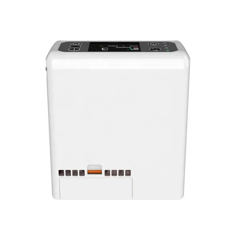 Factory sales of 3L and 4L household oxygen concentrator with battery for outdoor use by elderly people