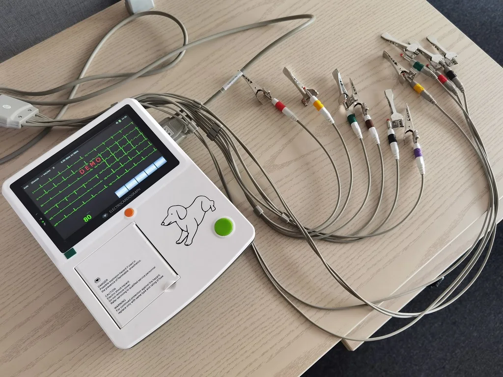 Vet ECG Machine For Animal
