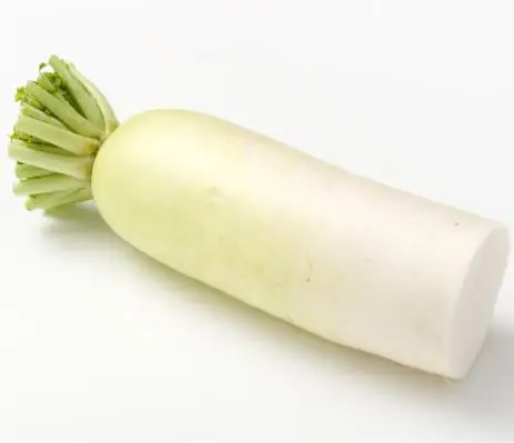 Best-selling Direct Commercial wholesaler of refreshing white radish